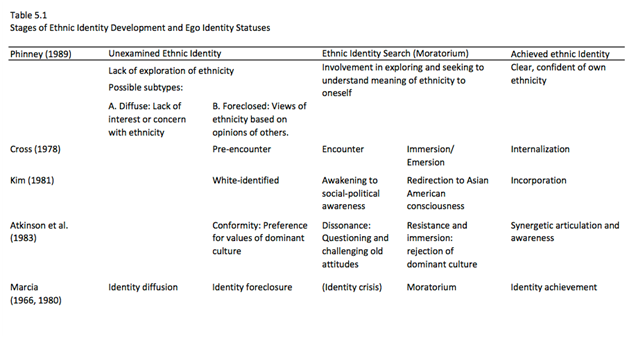 Race cultural identity essay